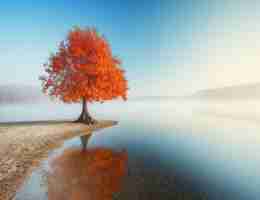 云﻿服‌务​器‍哪﻿个‌比﻿较﻿便﻿宜‍